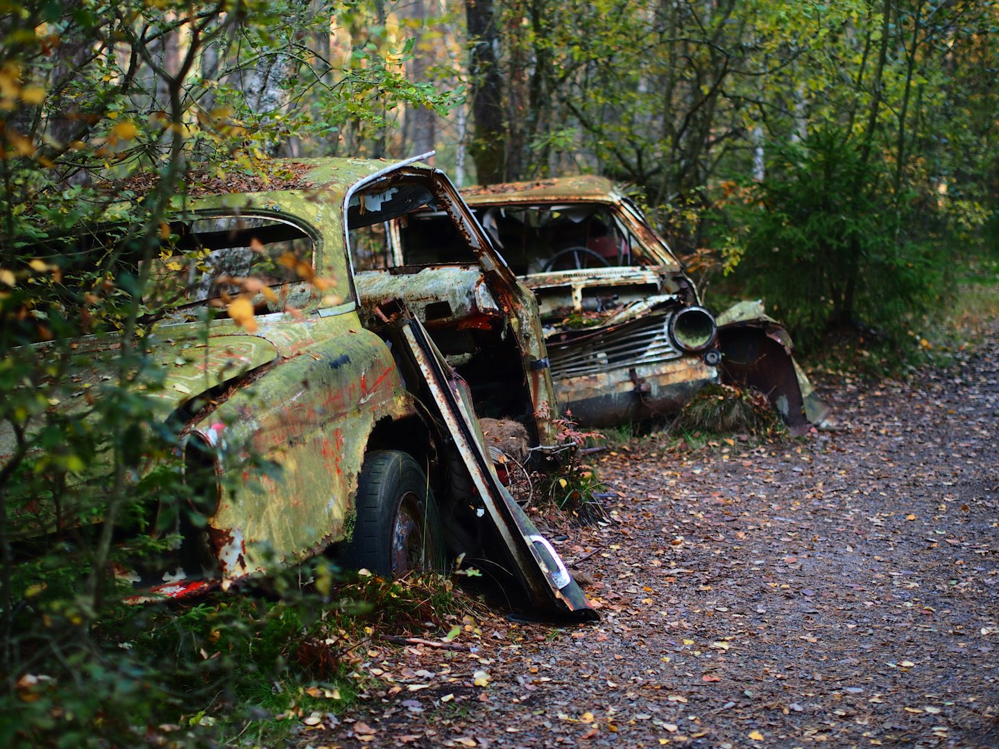 a rusted out car sitting in the middle of a forest